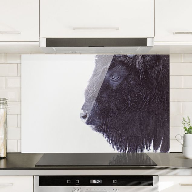 Wanddeko Küche Schwarzer Büffel im Portrait