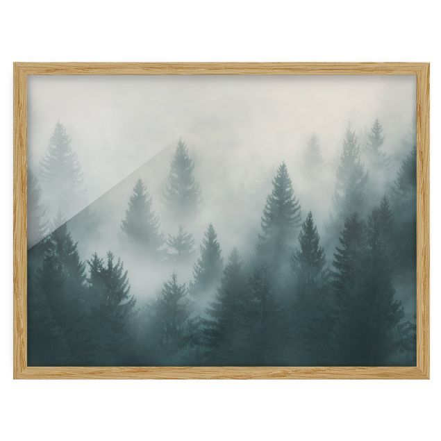 Wanddeko Flur Nadelwald im Nebel