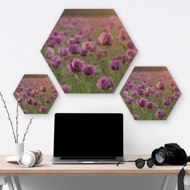 Wanddeko draußen Violette Schlafmohn Blumenwiese im Frühling
