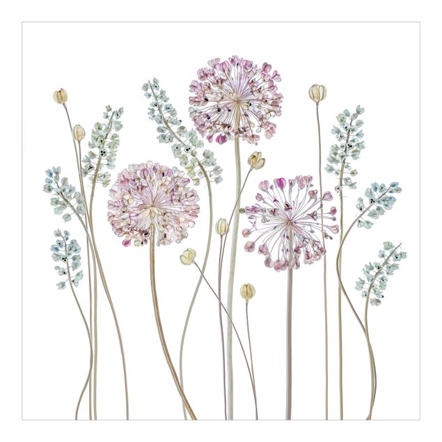 Wanddeko Esszimmer Allium Illustration