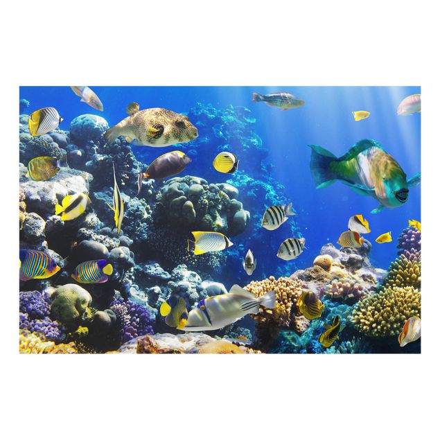 Wanddeko Unterwasser Underwater Reef