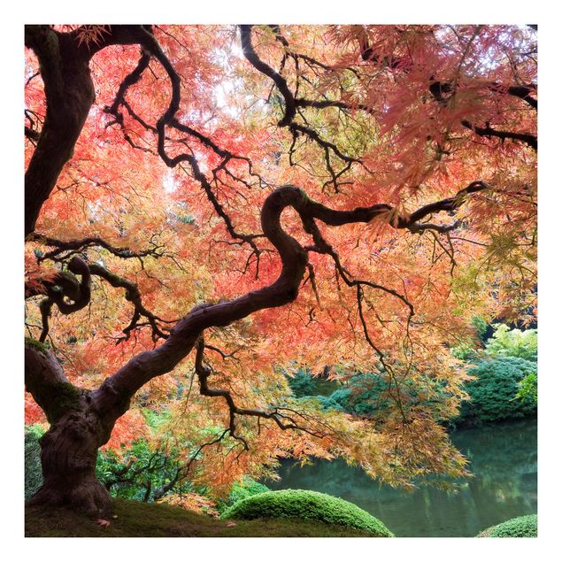 Wohndeko Bäume Japanischer Garten
