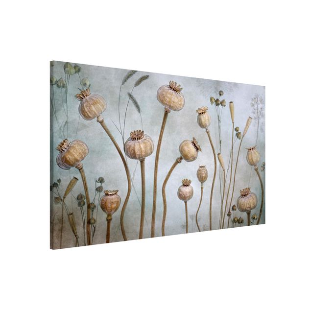 Wandbilder Mohnblumen Getrockneter Mohn