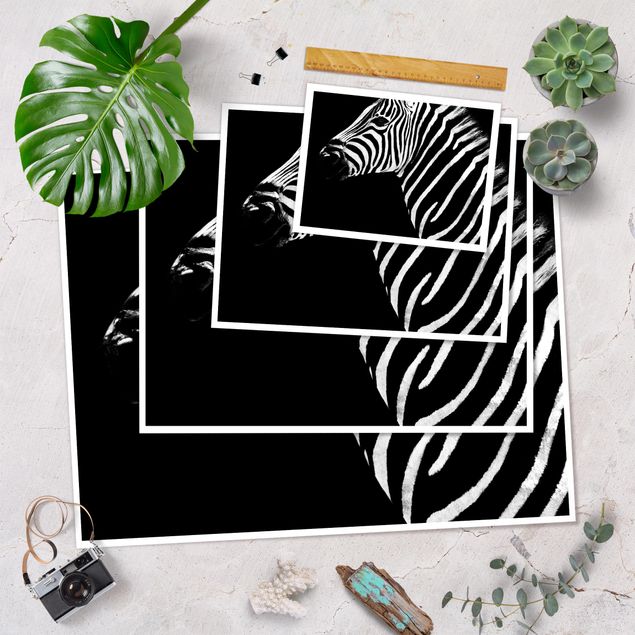 Wanddeko über Bett Zebra Safari Art