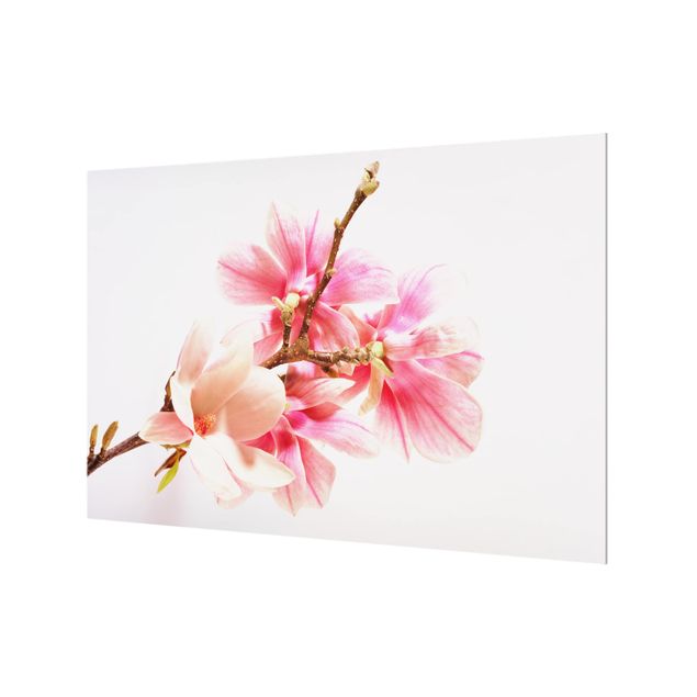 Wohndeko Fotografie Magnolienblüten