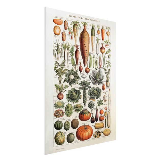 Küchen Deko Vintage Lehrtafel Gemüse