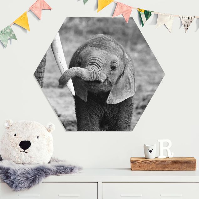 Wanddeko Schlafzimmer Elefantenbaby