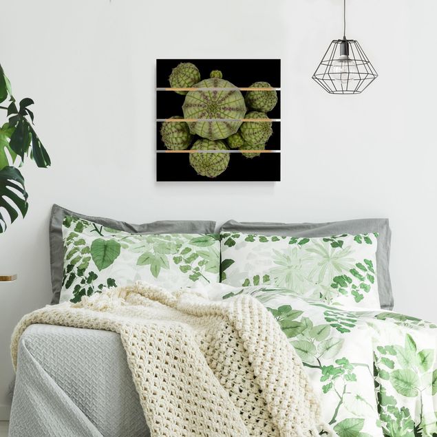 Wanddeko Schlafzimmer Euphorbia - Seeigelwolfsmilch