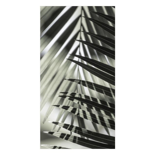 Wohndeko Fotografie Schattenspiel auf Palmenwedel