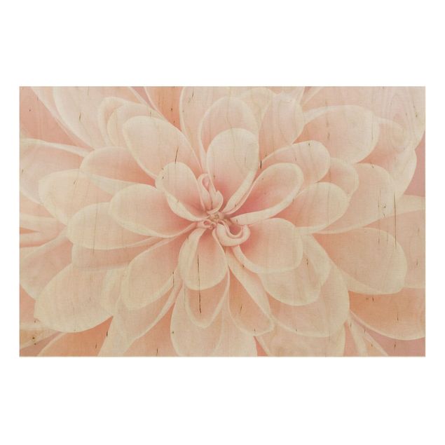 Wanddeko Blume Dahlie in Pastellrosa