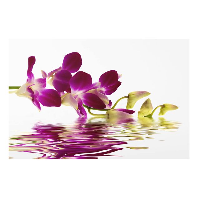 Deko Orchidee Pink Orchid Waters