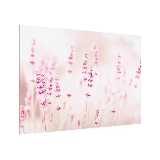 Wanddeko rosa Zartrosaner Lavendel