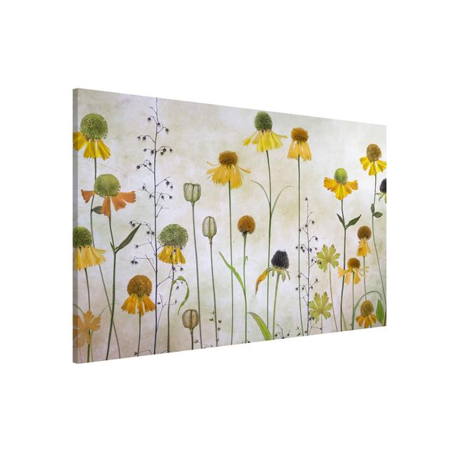 Wandbilder Mohnblumen Zarte Helenium Blüten