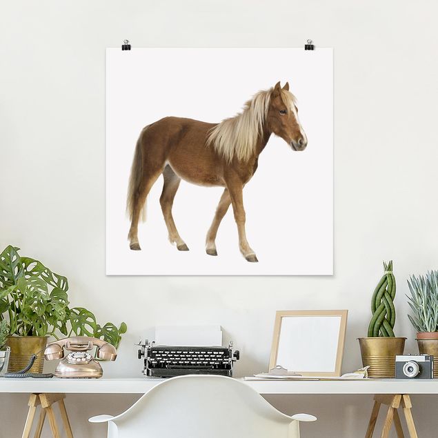 Wanddeko Büro Pony