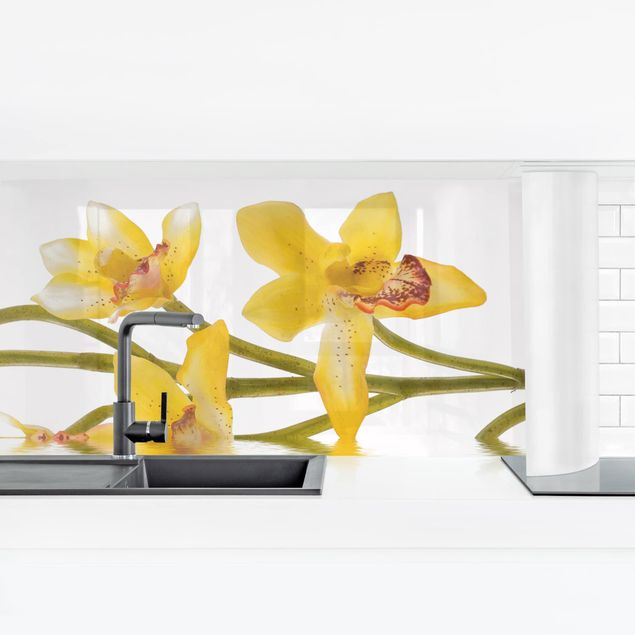 Küchenrückwand Folie Blumen Saffron Orchid Waters