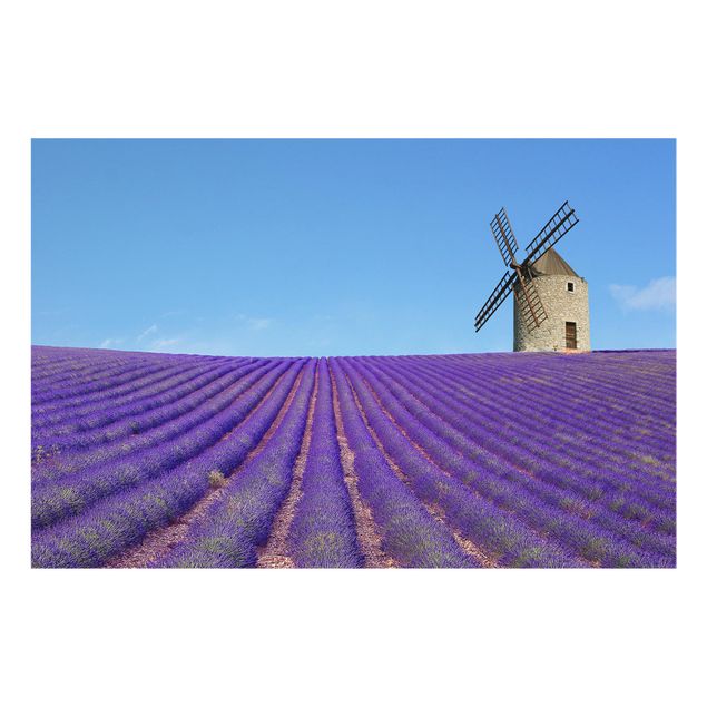 Deko Landschaft Lavendelduft in der Provence