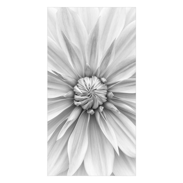 Wohndeko Fotografie Botanische Blüte in Weiß