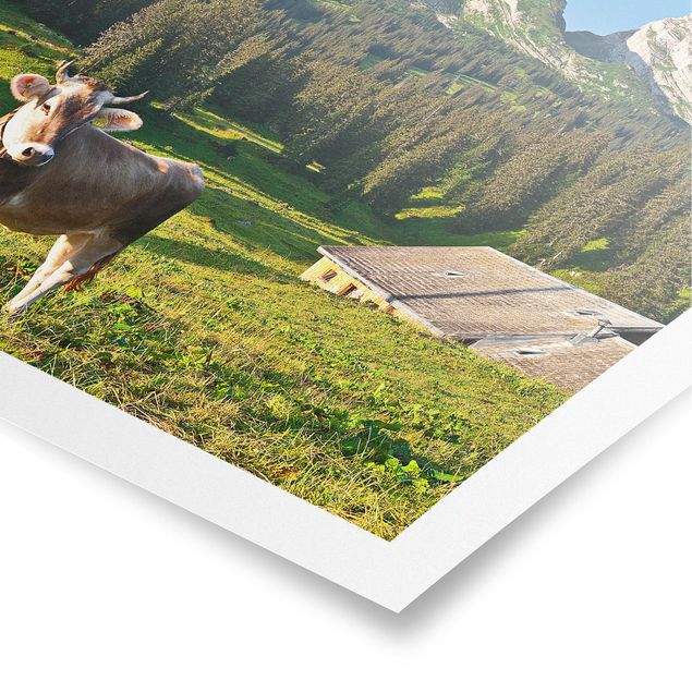 Wanddeko Flur Schweizer Almwiese mit Kuh