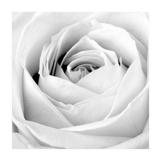 Wohndeko Rose Close Up Rose