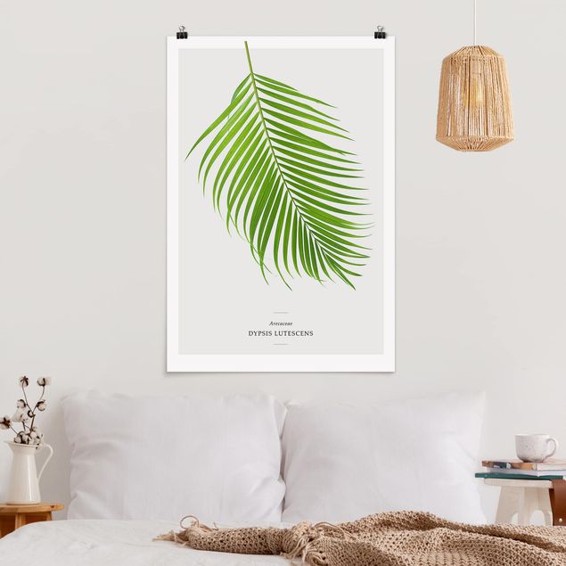 Wanddeko Schlafzimmer Tropisches Blatt Areca Palme