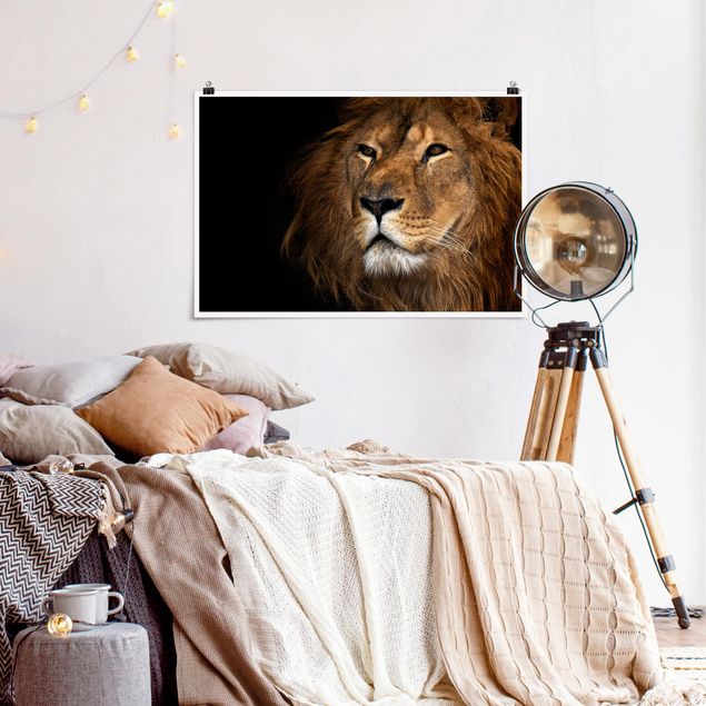 Wanddeko Schlafzimmer Löwenblick