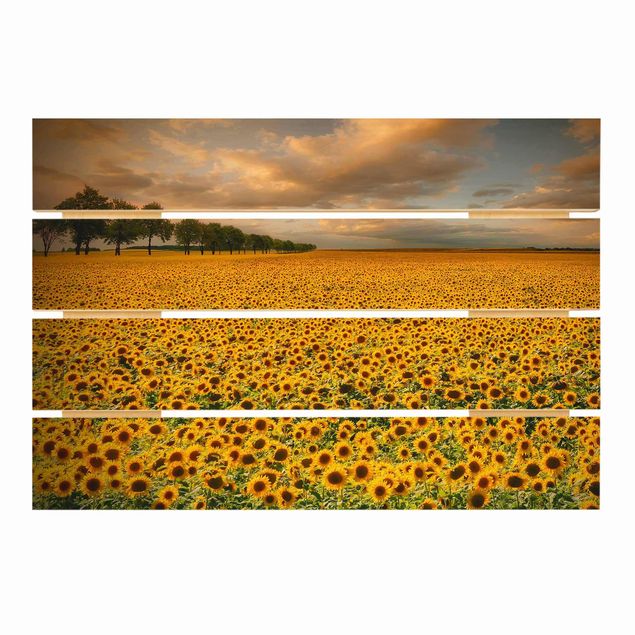 Wanddeko Flur Feld mit Sonnenblumen