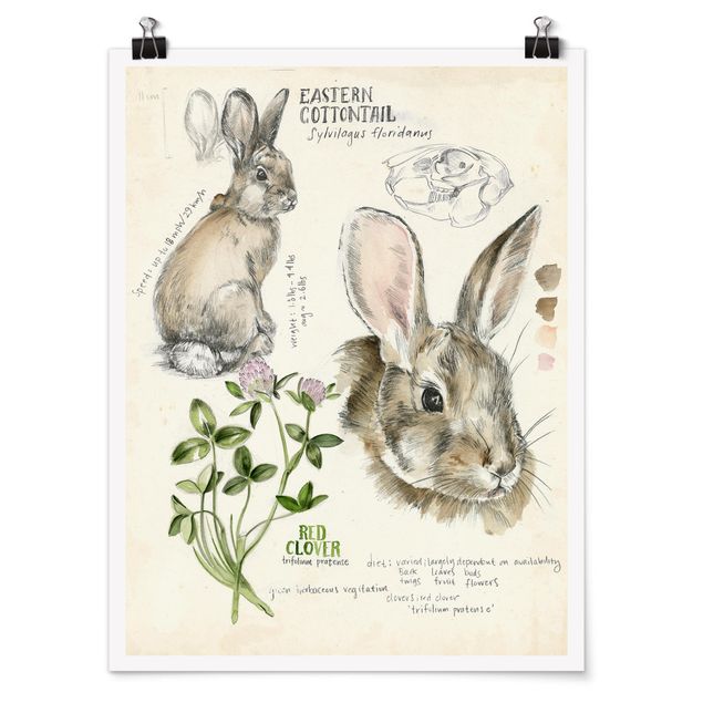 Wanddeko Esszimmer Wildnis Journal - Kaninchen