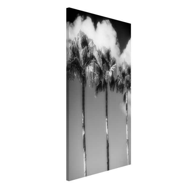Wanddeko Flur Palmen vor Himmel Schwarz-Weiß