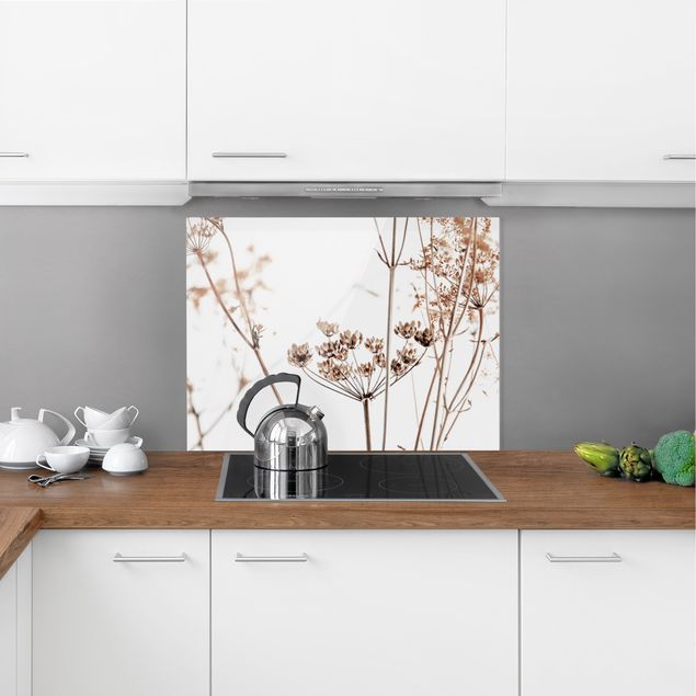 Küche Dekoration Trockenblume im Lichtspiel