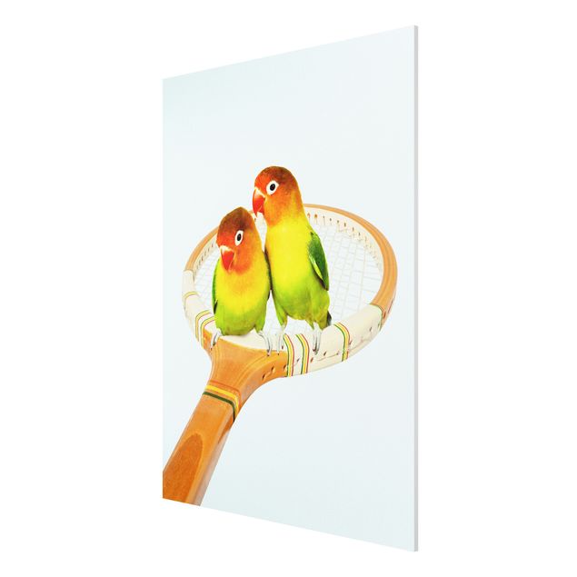 Wanddeko Flur Tennis mit Vögeln
