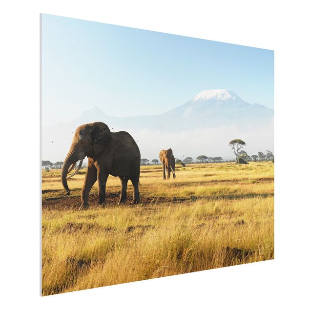 Wohndeko Afrika Elefanten vor dem Kilimanjaro in Kenya
