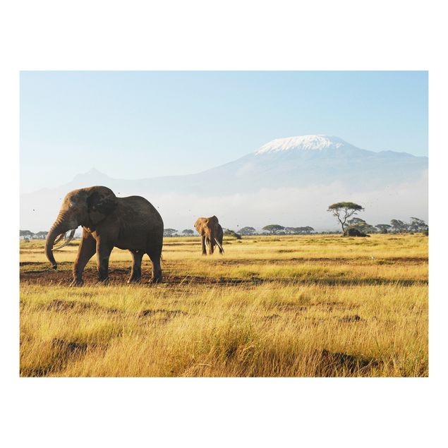 Küchen Deko Elefanten vor dem Kilimanjaro in Kenya
