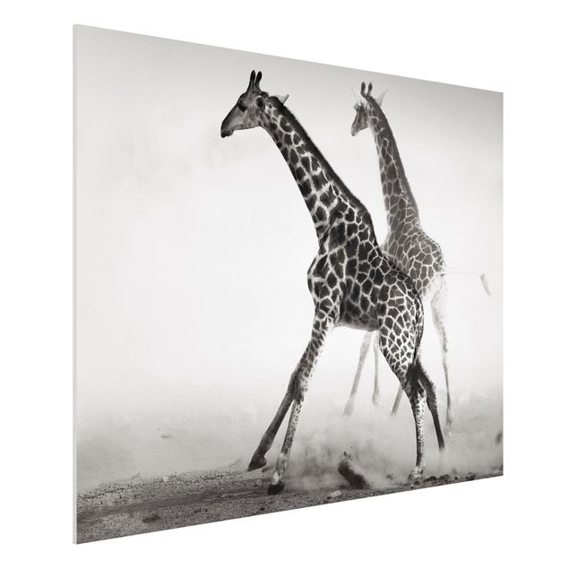 Wanddeko Schlafzimmer Giraffenjagd