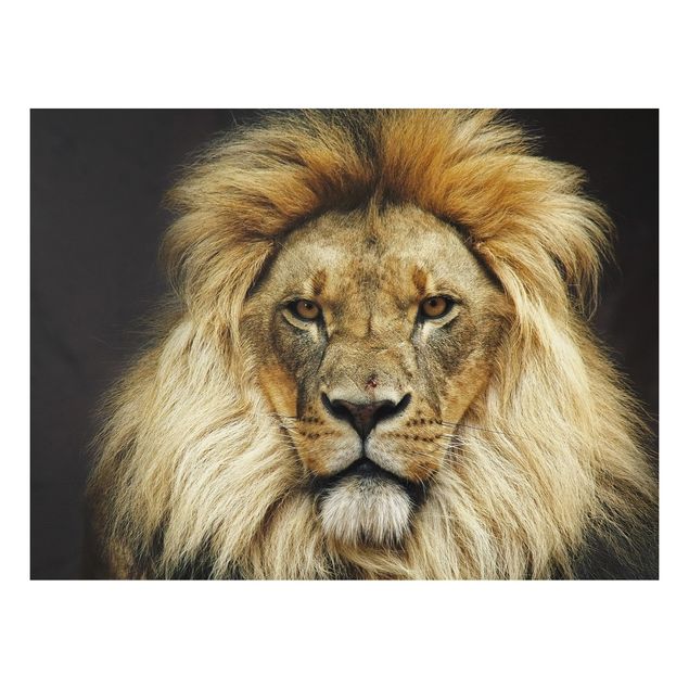 Wanddeko gelb Wisdom of Lion