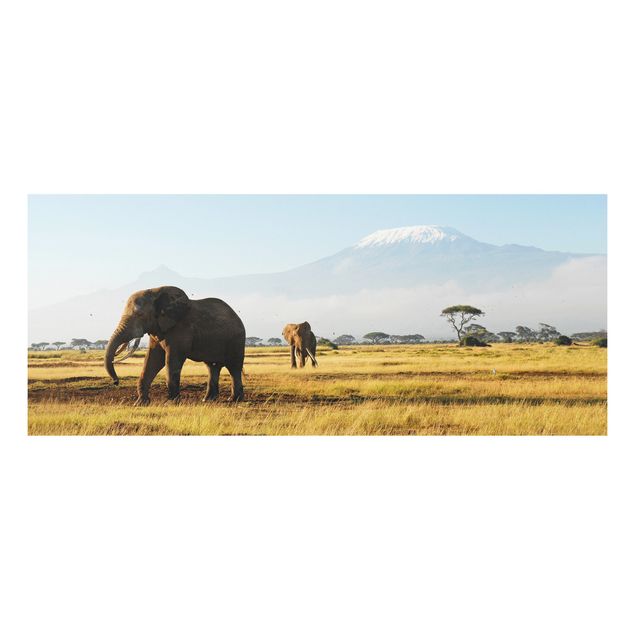 Küchen Deko Elefanten vor dem Kilimanjaro in Kenya