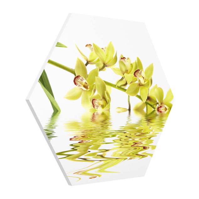 Wanddeko Flur Elegant Orchid Waters