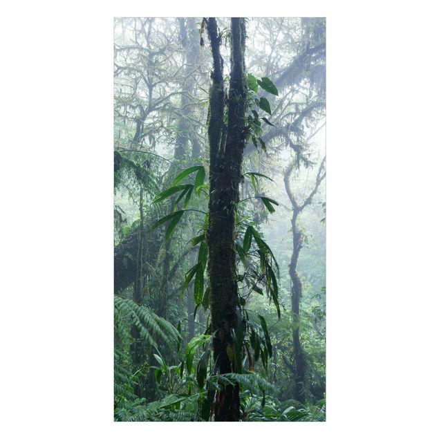 Wanddeko Dschungel Monteverde Nebelwald