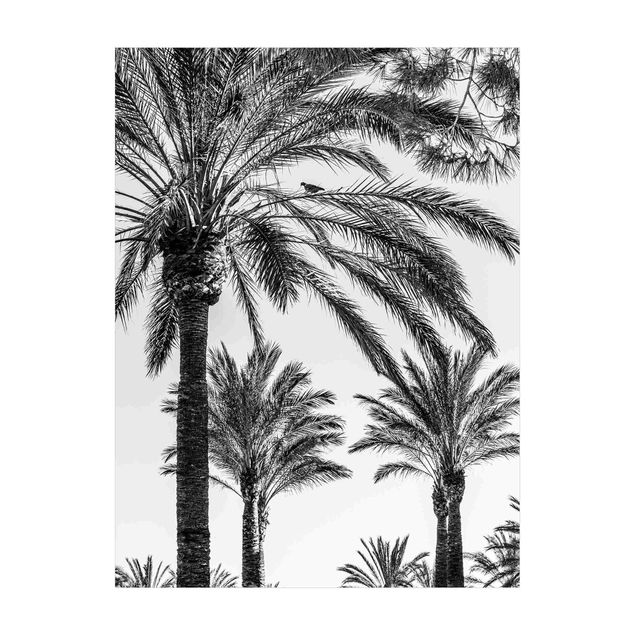 Wanddeko schwarz-weiß Palmen im Sonnenuntergang Schwarz-Weiß