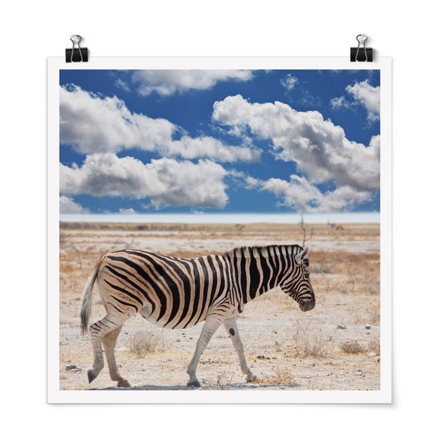 Wanddeko Wohnzimmer Zebra in der Savanne