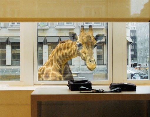 Fensterfolie - Fenstersticker No.21 Neugierige Giraffe - Fensterbilder