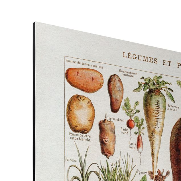 Wohndeko Pflanzen Vintage Lehrtafel Gemüse