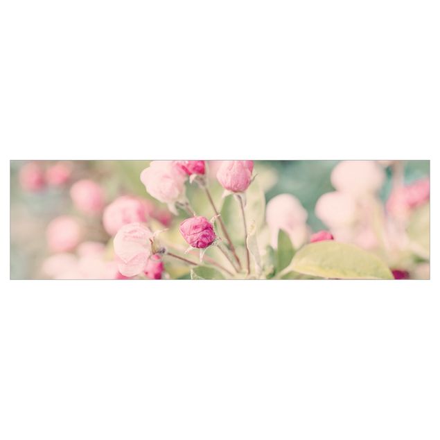 Andrea Haase Bilder Apfelblüte Bokeh rosa