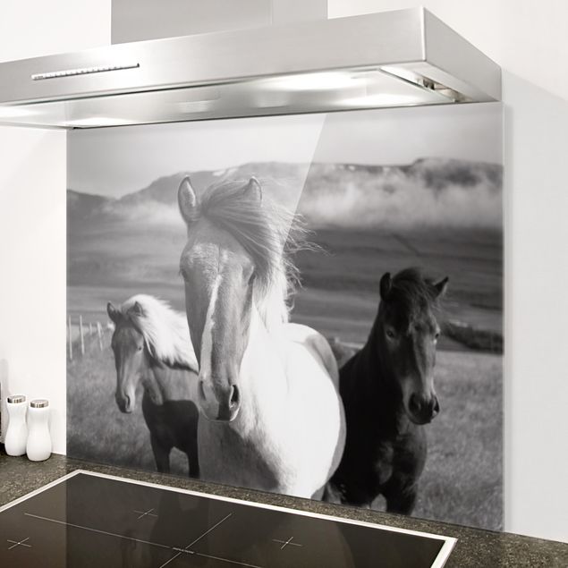 Wanddeko Küche Wildpferde Schwarz-Weiß