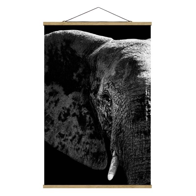 Wanddeko Flur Afrikanischer Elefant schwarz-weiß