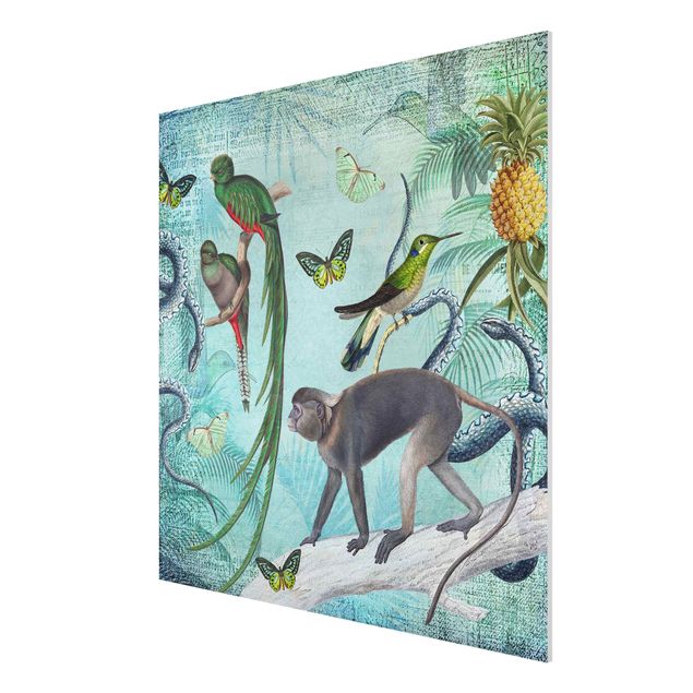 Wanddeko Flur Colonial Style Collage - Äffchen und Paradiesvögel