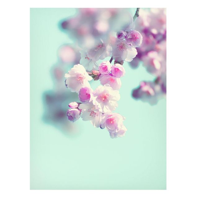 Wanddeko Esszimmer Farbenfrohe Kirschblüten