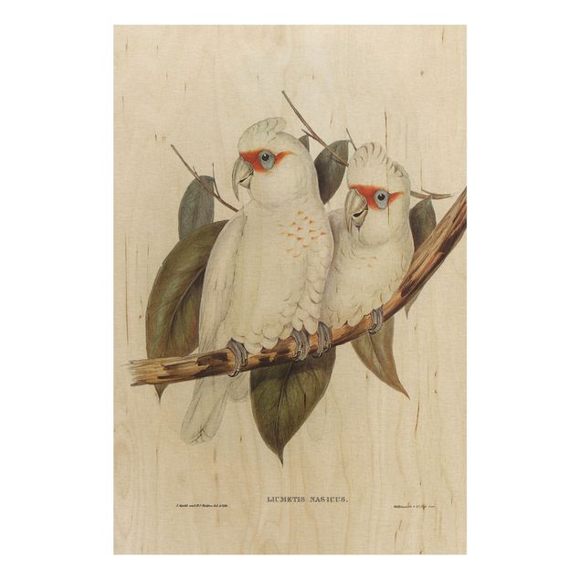 Wanddeko Flur Vintage Illustration Weißer Kakadu