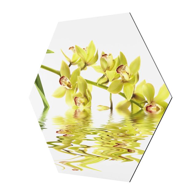 Wanddeko Büro Elegant Orchid Waters