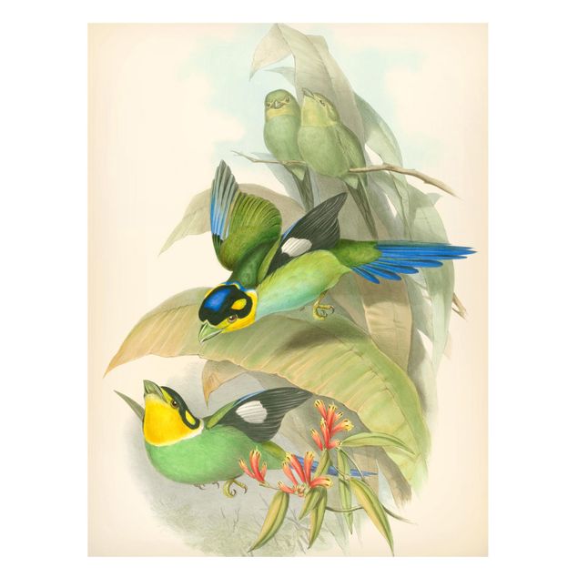 Wanddeko Esszimmer Vintage Illustration Tropische Vögel