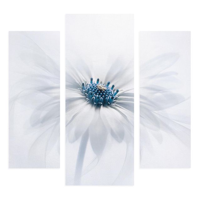 Gänseblümchen in Blau Leinwandbild 3-teilig | WALLART